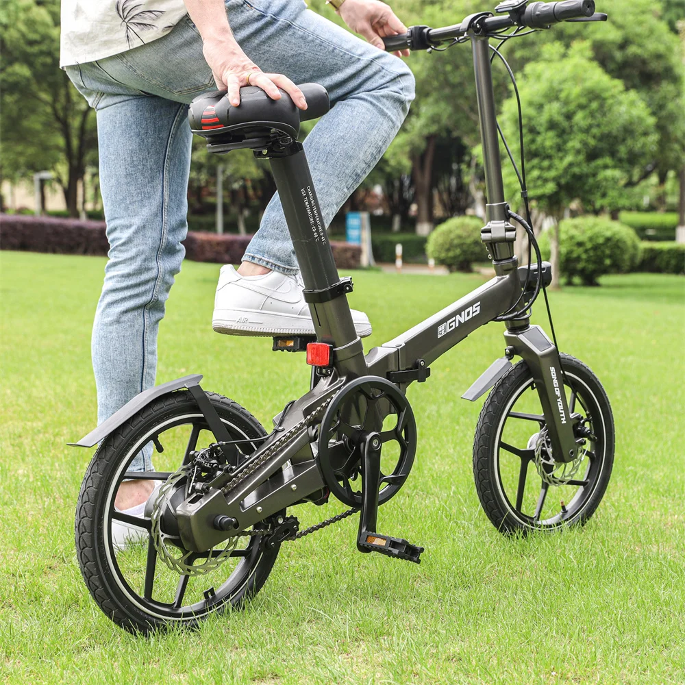 China Manufacturer Song of Youth Magnesium Alloy Frame 36v 250w 8Ah/10Ah long Range Small Light-weight Electric Bicycle Folding