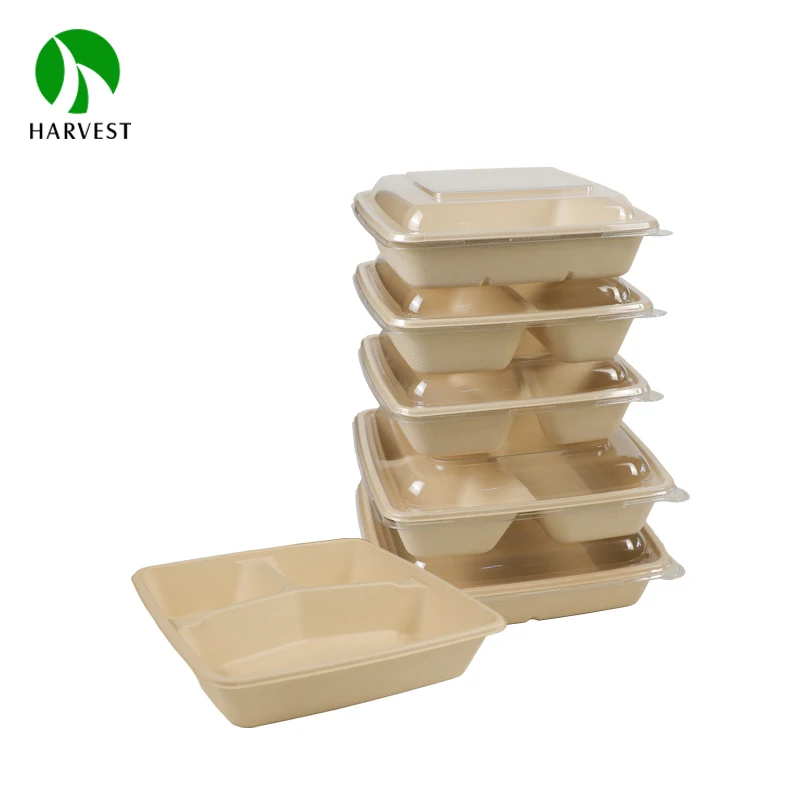 Square 8 Inch Eco friendly sustainable biodegradable food packaging