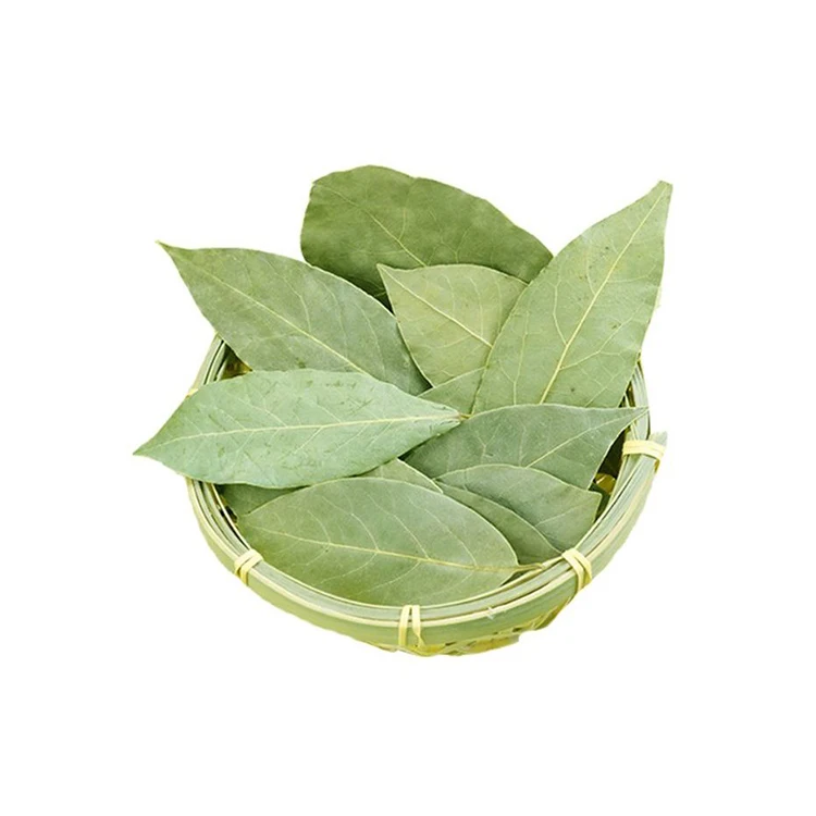 China Supplier Bay Laurel Leaf Spices Kitchen Single Spices Herb Dried Bay Leaves