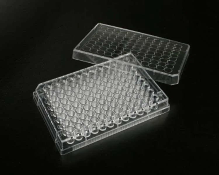 PS flat U bottom V bottom 96 deep multi well cell culture plate
