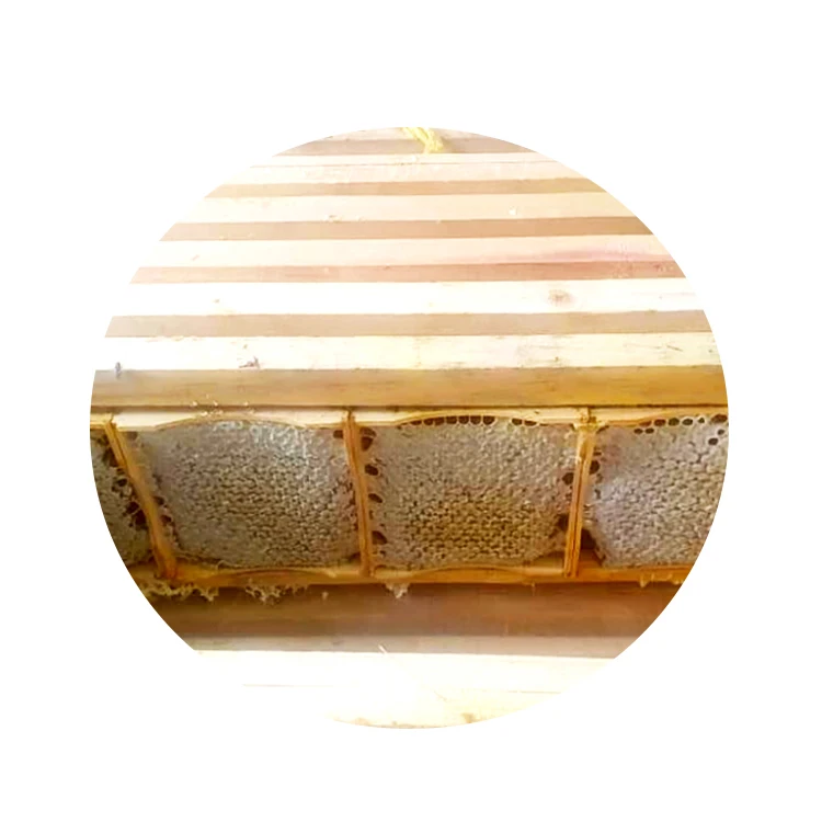 Fresh Natural Raw Honey Comb 100% Made From Natural Pure Bee Hive Honey Mature Comb Organic Honey Comb For Sale