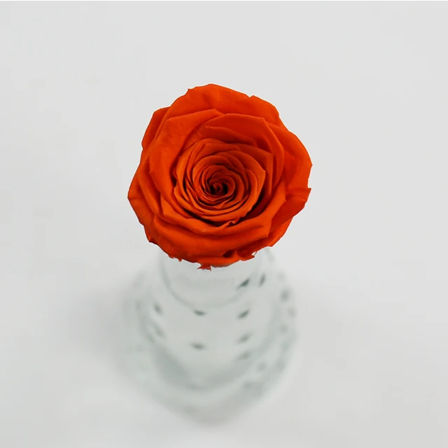 yunnan factory wholesale grade a 5-6 cm dried preserved flower roses  head eternity rose