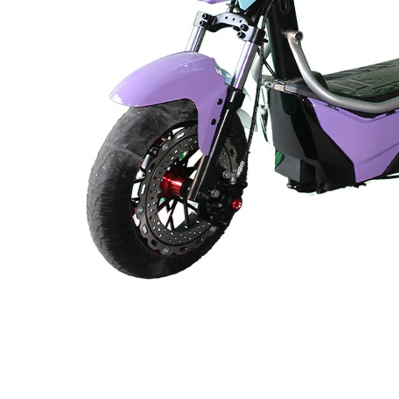 Paige 2024 New Style Hot Sell Long Distance Electric Assistant Bicycle Battery For Kids Ebike Motorcycle E-Bike Yachi