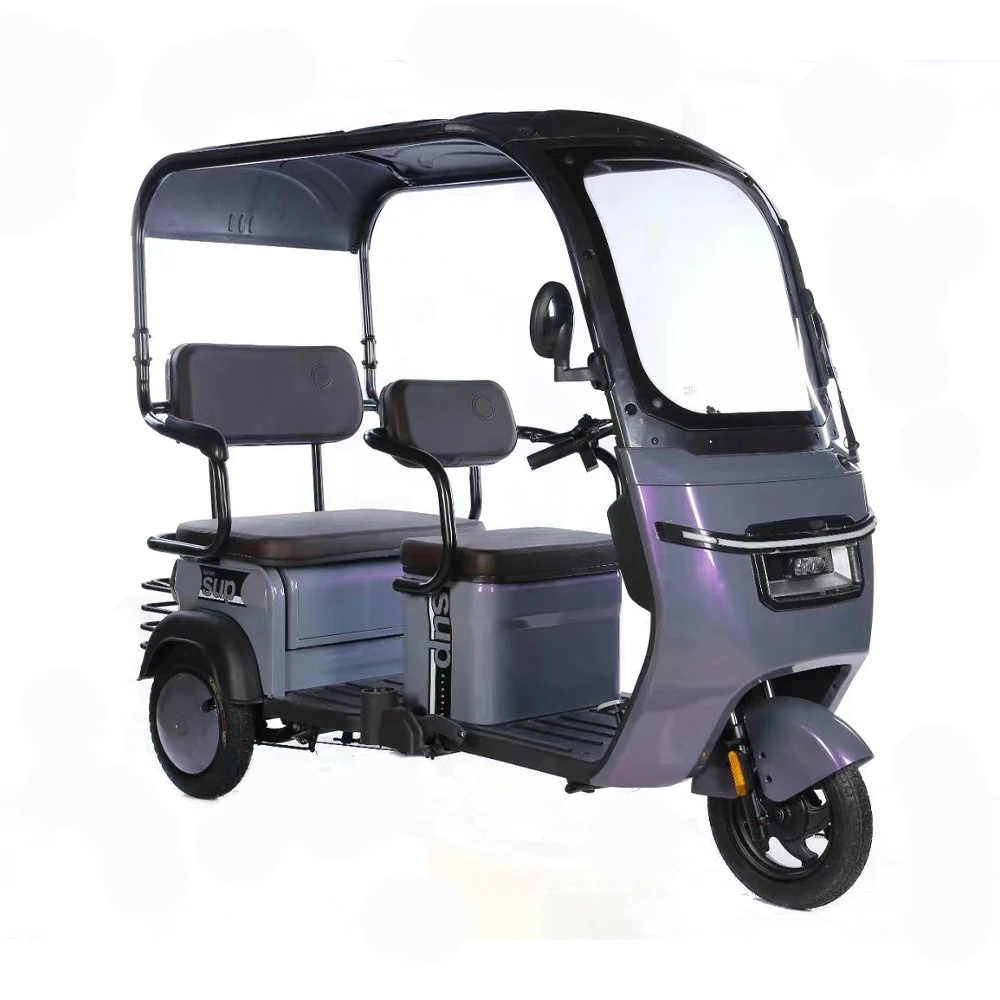 2024 Hot Sale Ebike 3 Wheel Electric Scooter 800W Family Use Electric Cargo Tricycle For Adults