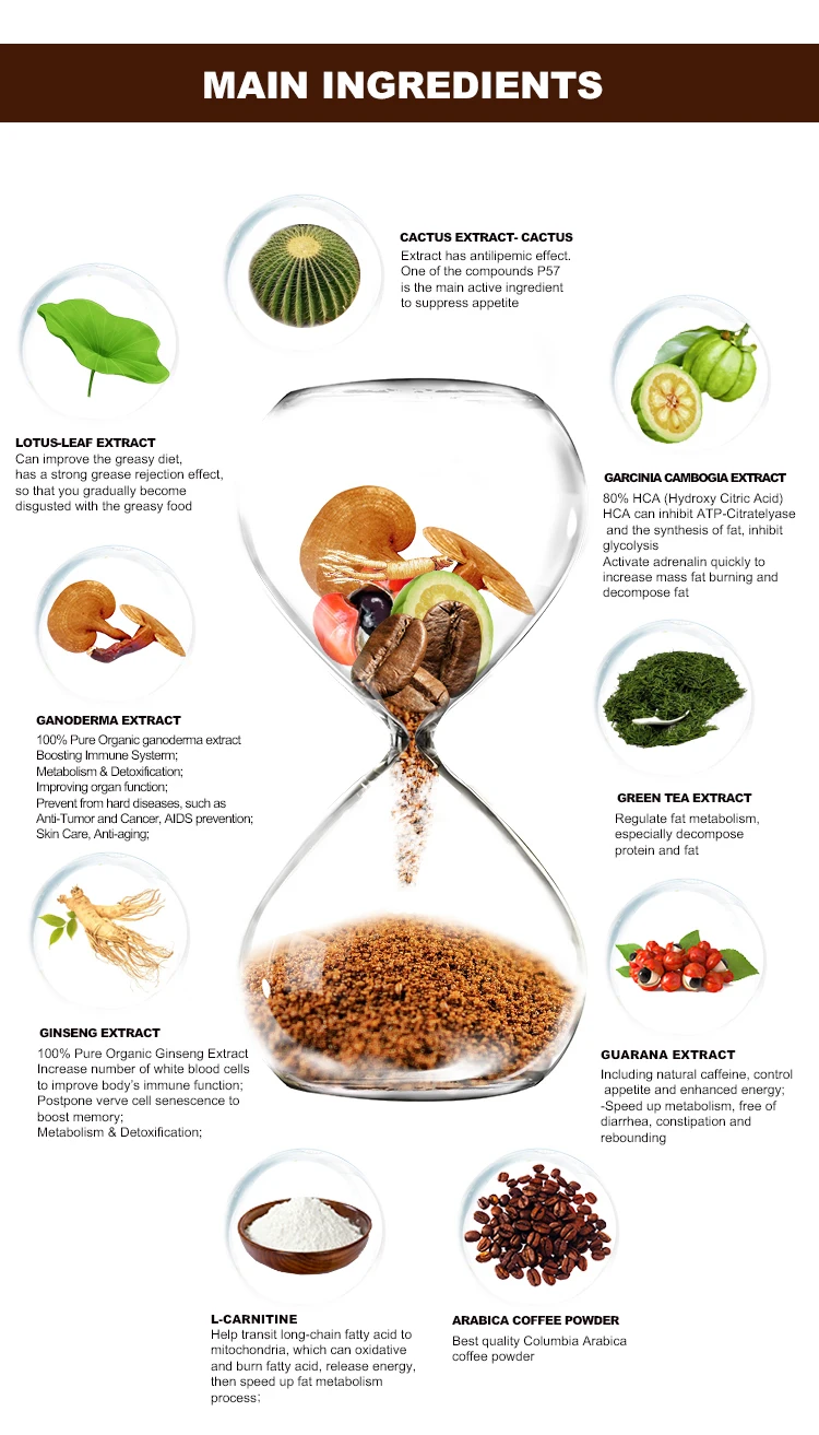 Coffee with Ganoderma Extract ISO20002 Certified Immune Booster Bio Herb Reishi Extract Instant Coffee Mushroom 0.0035 Kg 10 BOX