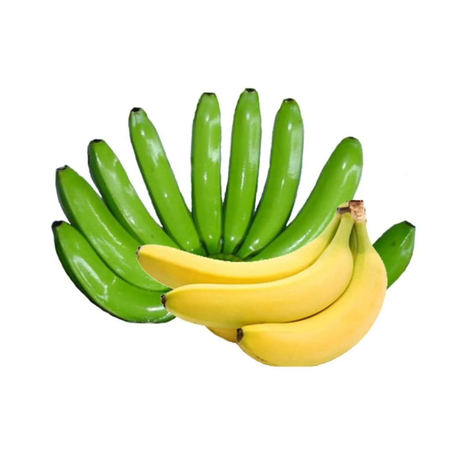 Оптовая продажа, свежий зеленый банан, фрукты, свежий банан для продажи