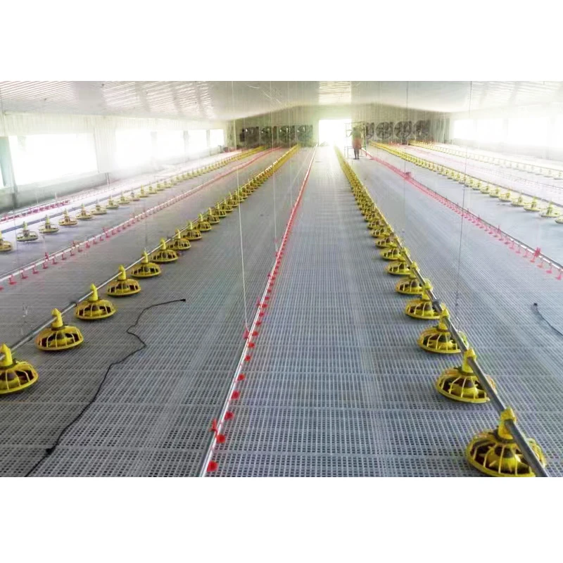 Factory Direct Sale Automated chicken breeding equipment Chicken Drinking Broiler Chicken Ground