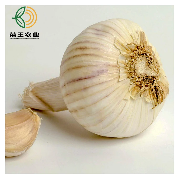 
Best Quality Shandong China Fresh Garlic for Family Cooking 