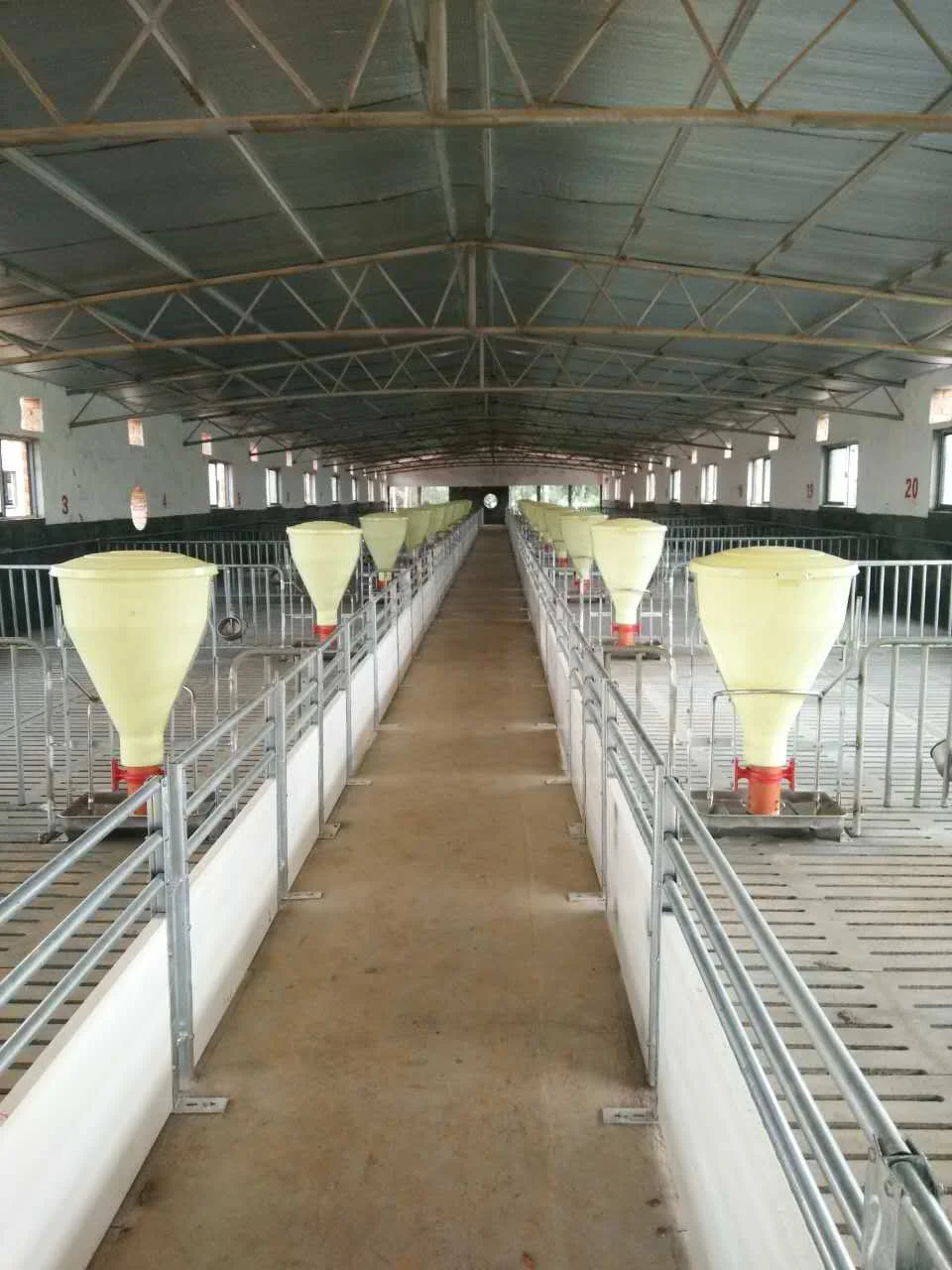 Hot sale 100KG dry and wet stainless steel/cast iron chassis pig feeding equipment automatic feeders for the pig farm