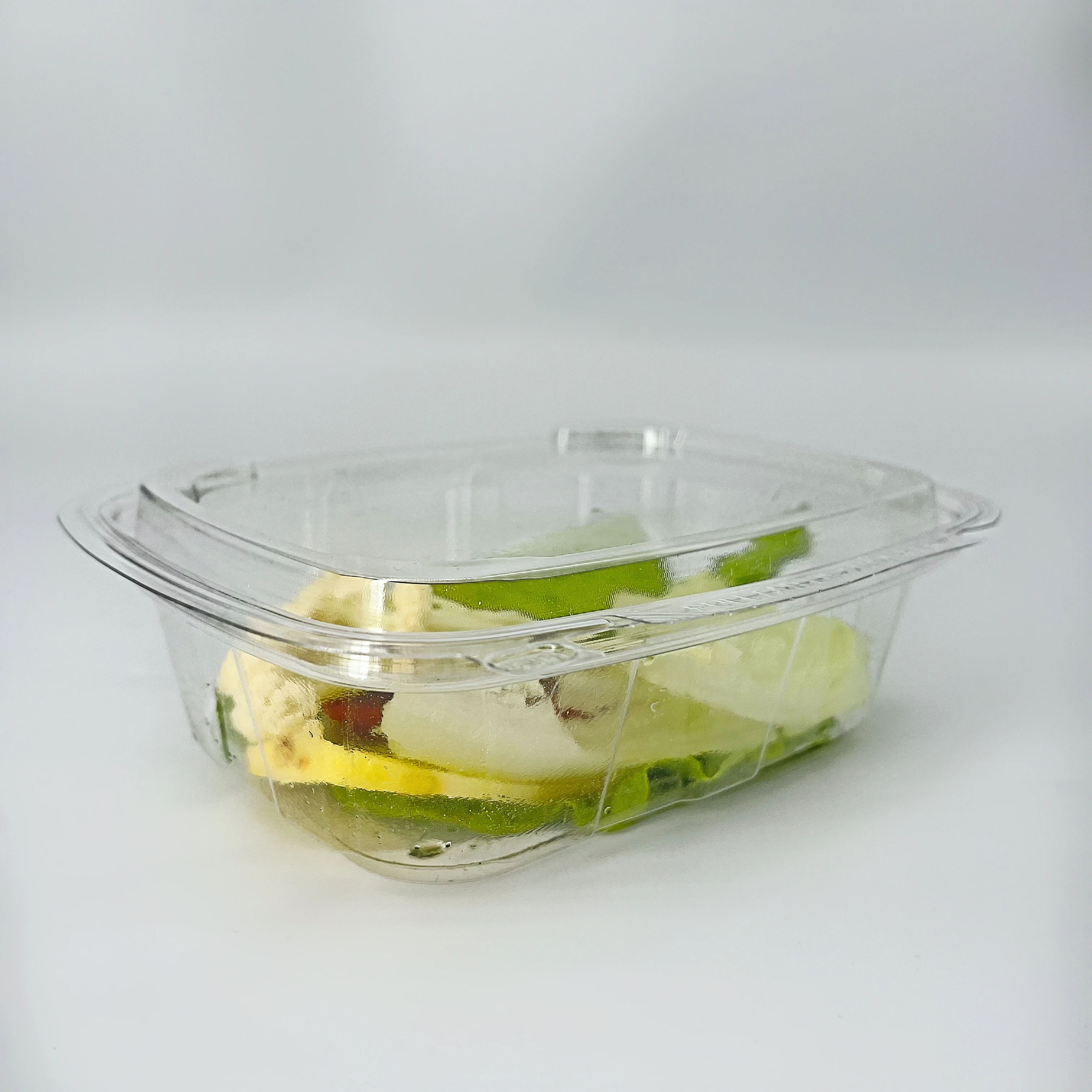 20OZ Biodegradable Disposable Deli Clear Rectangle Sandwich Packaging Plastic Food Catering Platter Trays Plastic Packing Box