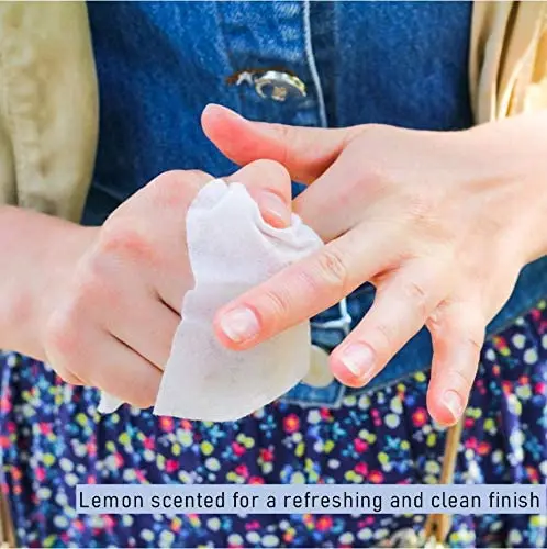 OEM LOGO and package toilet seat cleaner wet wipes kitchen and kfc restaurant cleaning wipes