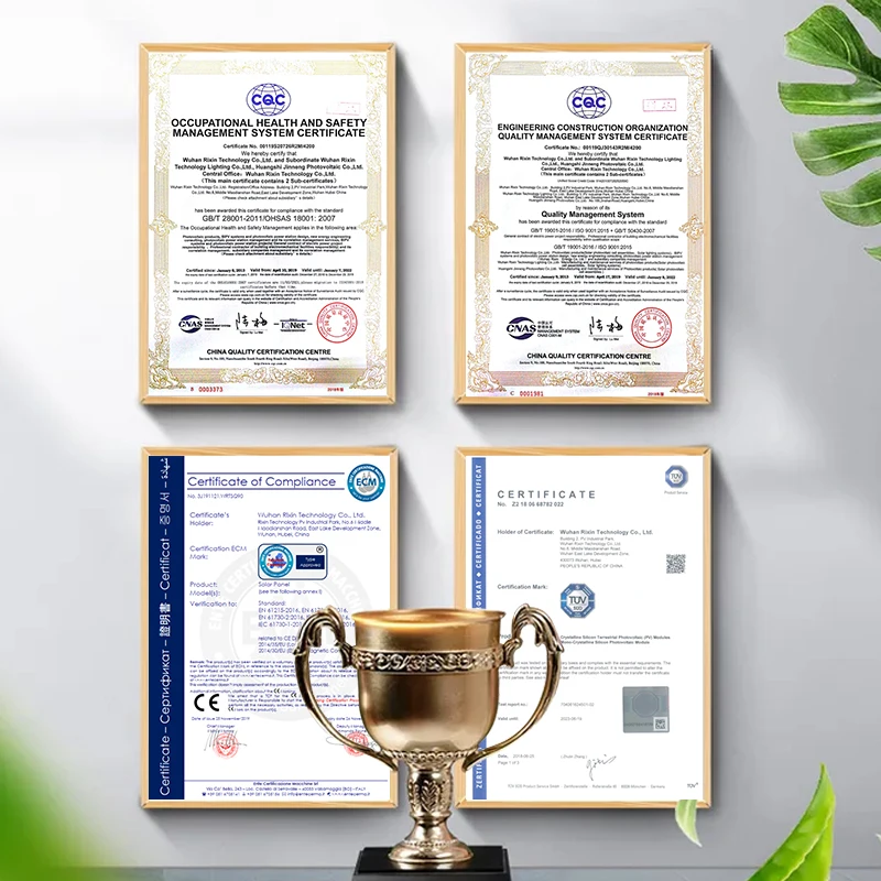 Rixin Rooftop Use Monocrystalline Bifacial solar panel 320W 325W Professional Factory Supply