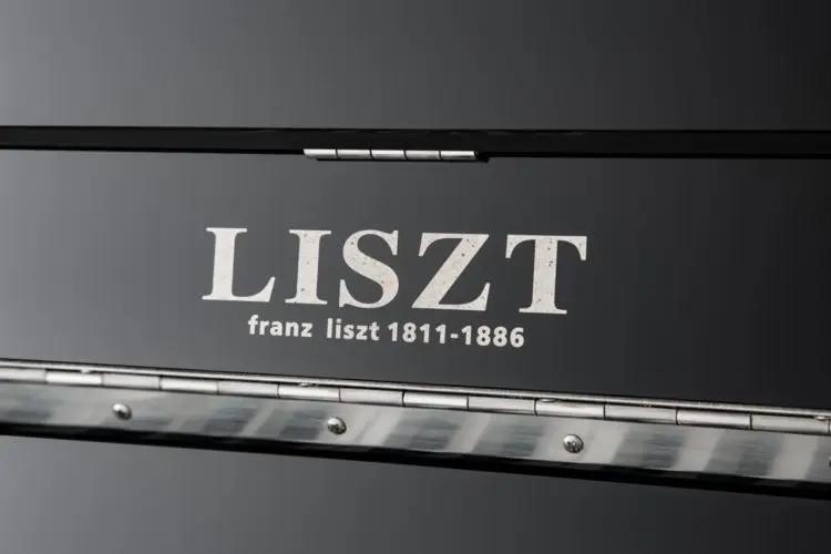 Low Price Of Brand New Flower Box Piano  High-End Vertical Mark Piano Mid-To-High-End Upright Piano