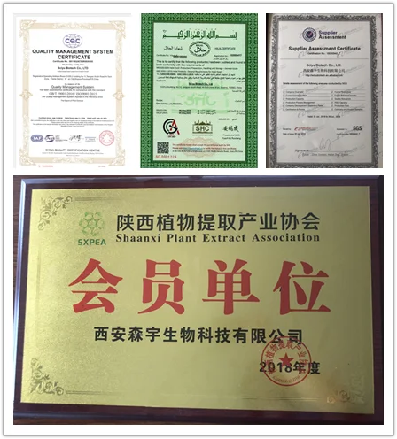 High Quality Banaba Leaf Extract Powder Banaba Leaf Extract