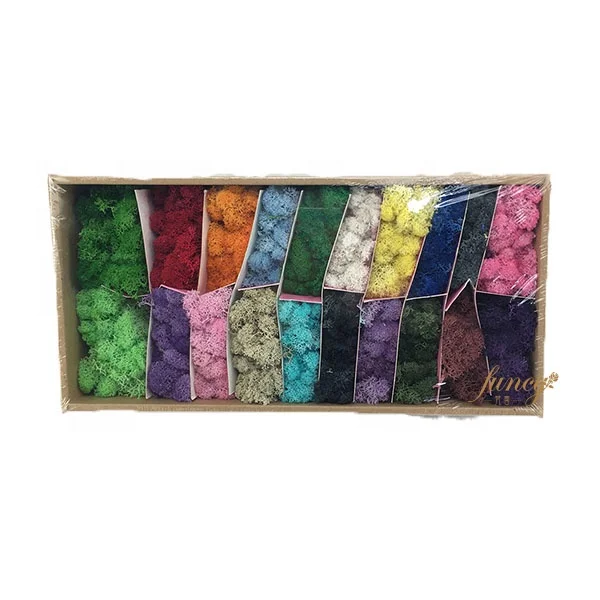 Wholesale Natural Real Green Preserved Reindeer Moss Wall Frame Decoration Stabilized Moss