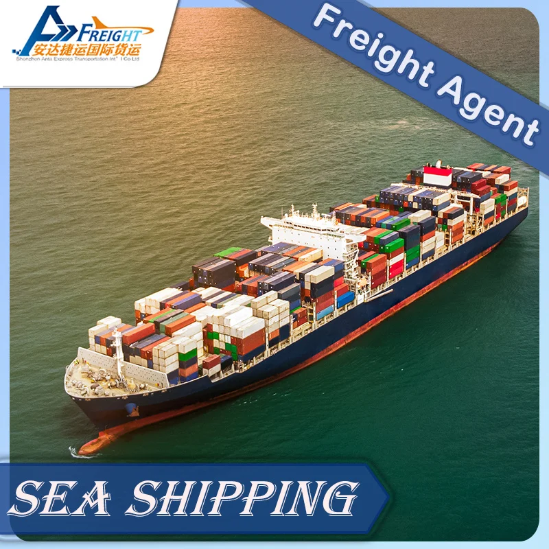 Reliable Sea Shipping Agent for Shenzhen to Estonia Logistic Forwarder Sea Shipping