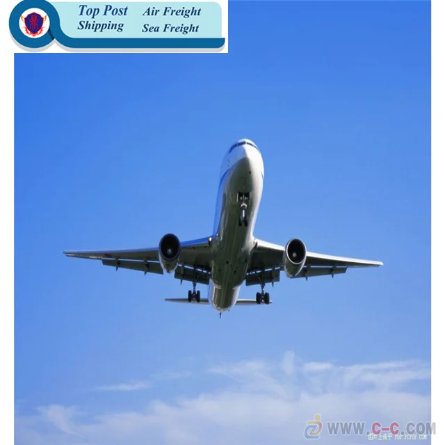 sea freight forwarder from china to usa and canada amazon fba for ddp service