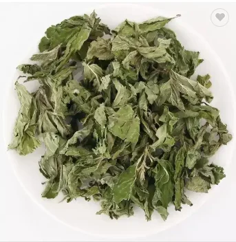 Wholesale Dried mint leaves Tea Bulk dried Peppermint tea factory supply