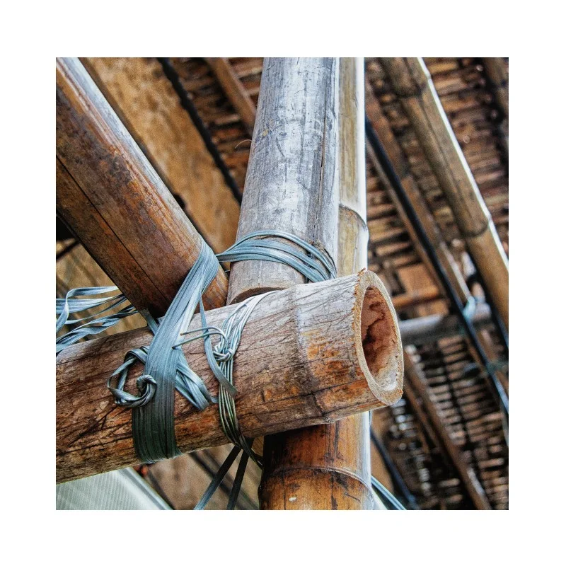 Wholesale for Premium Natural Bamboo Stake/Bamboo Poles