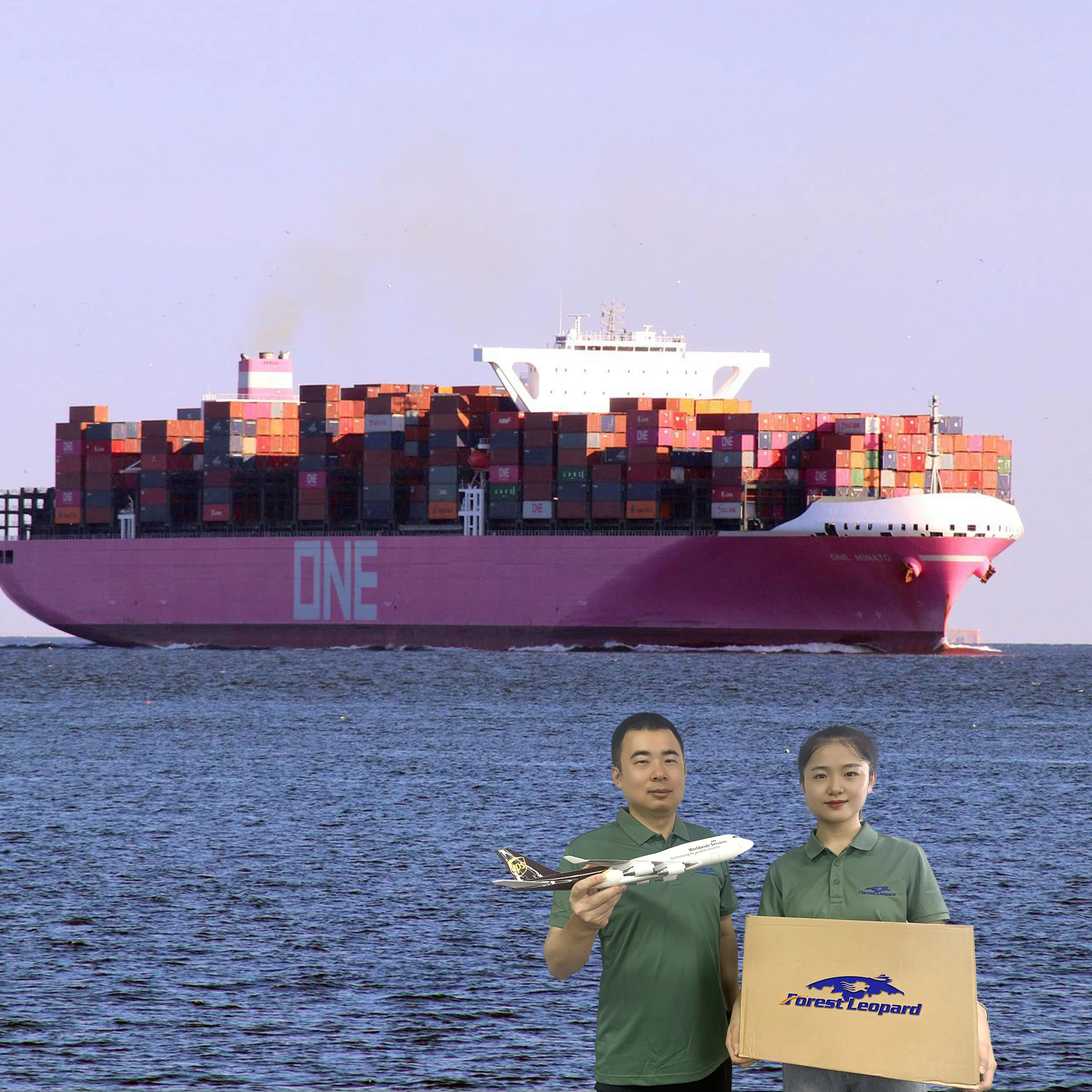 Check Ddp Logistics Service Rate Cago Freight Forwarder Shipping Agent China to Usa Uk Germany Australia Canada France Italy Eu