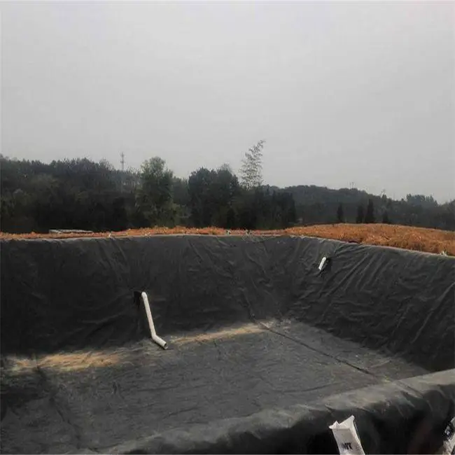 Fish Farm Pond Liner Hdpe Geomembrane 1mm 1.5mm 2mm