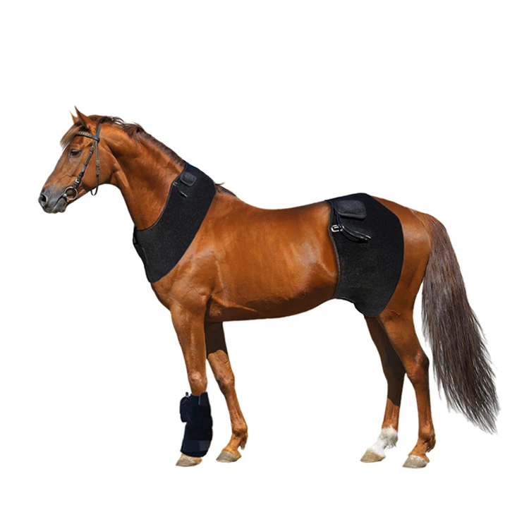 Red Light Therapy Pad Horse Equine Therapy Pain Relief Horse Red Light Therapy Pad