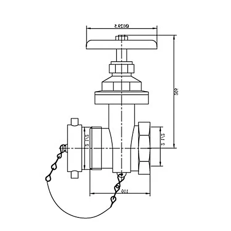 Brass Wet Riser Landing Valve Straight hose gate valve Bronze Hydrant Gate Valve