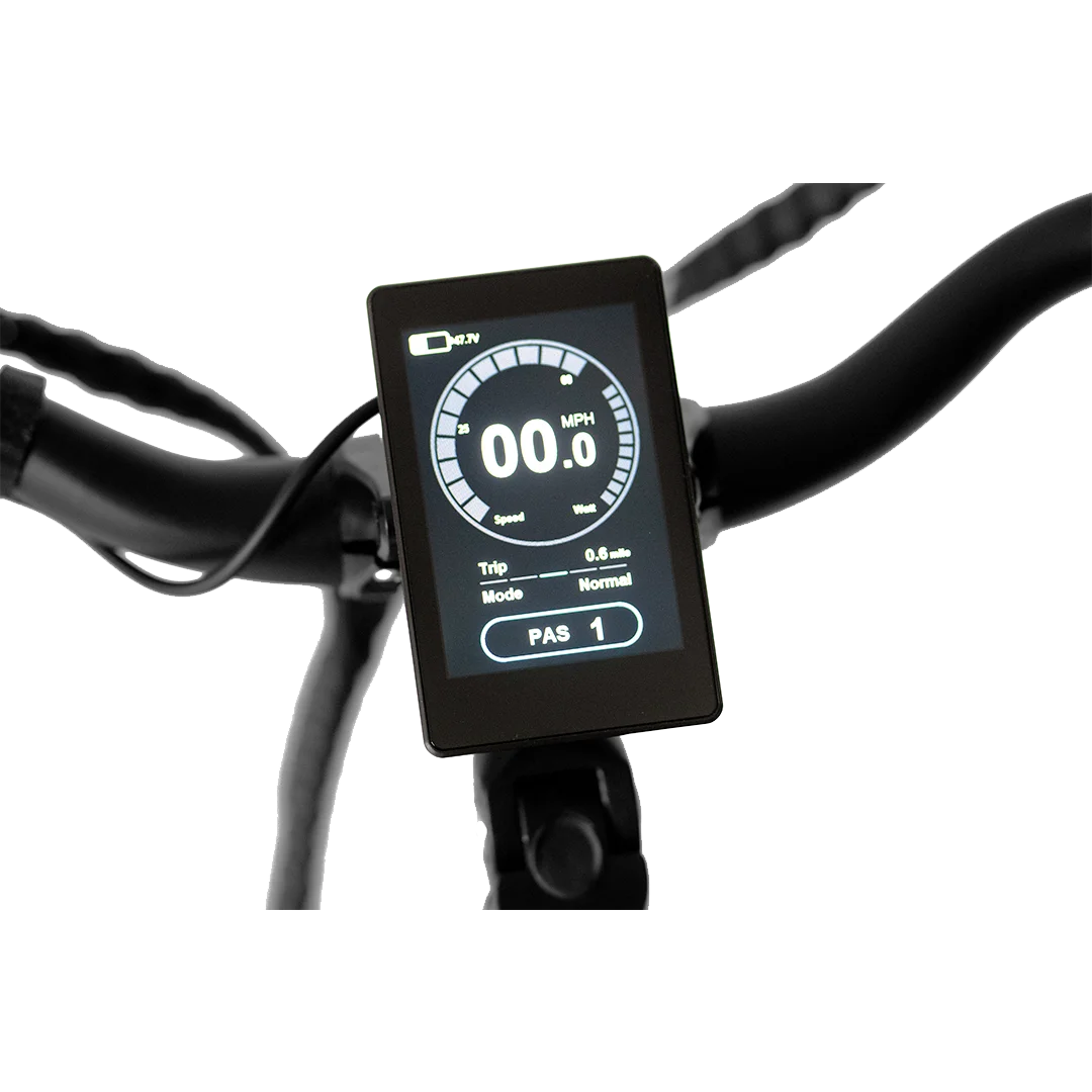 Super 750W Powerful 20 Inch Fat Tire Snow /Beach Electric Bicycle Dual Disc Brake Fat Tire Electric Mountain Bike