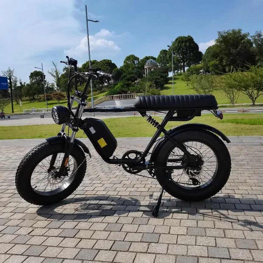 Host Sell 5000w 72v Fat Tire Snow Ebike City Bike   20 Inch  Ebike