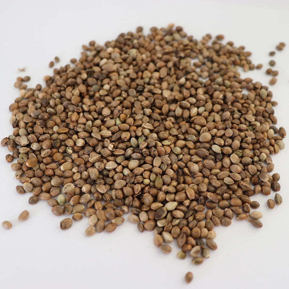 Wholesale Organic Hempseed 3.5mm Hemp Seed