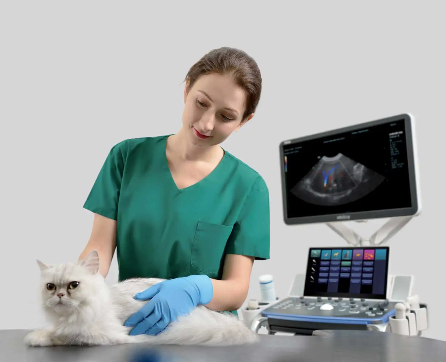 Mindray Vetus 8 Cart-Based Ultrasound Imaging System With Trolley For Veterinary/Animal Vet Use 3d ultrasound