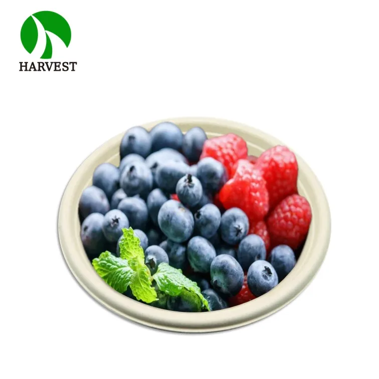 750 ml Leakproof Greaseproof Natural Natural Disposable Bagasse wheat straw durable disposable eco friendly bowls