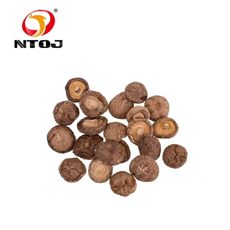 Bulk Champignon Dried Shiitake Mushroom Prices