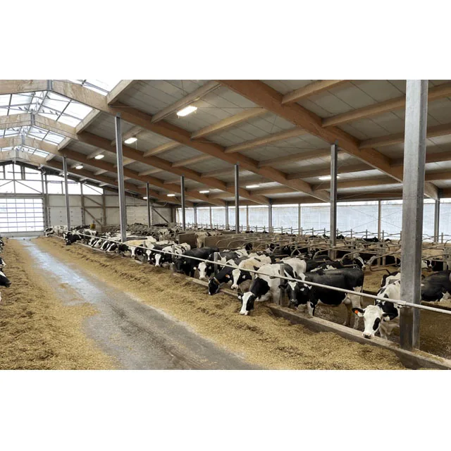 factory design easy assembly Prefab Cattle Farm House Prefabricated Steel  structure Dairy Milk Cow  Farm Building