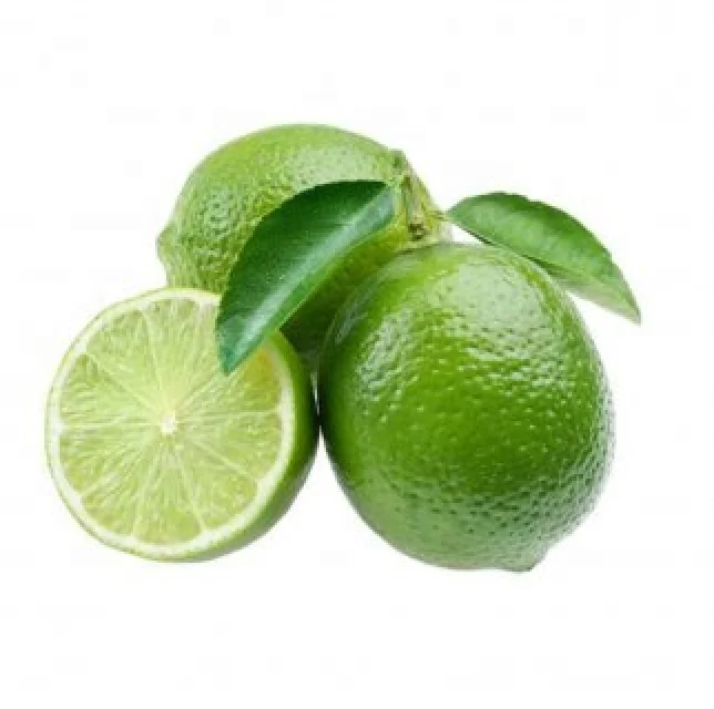 Wholesale Lime With 90% Maturity Green green lime fruit for lemonade lime sour taste succulent