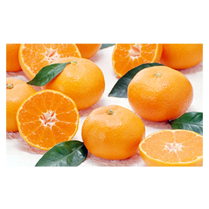 Japanese wholesale bulk fruit related products for agricultural products with good quality