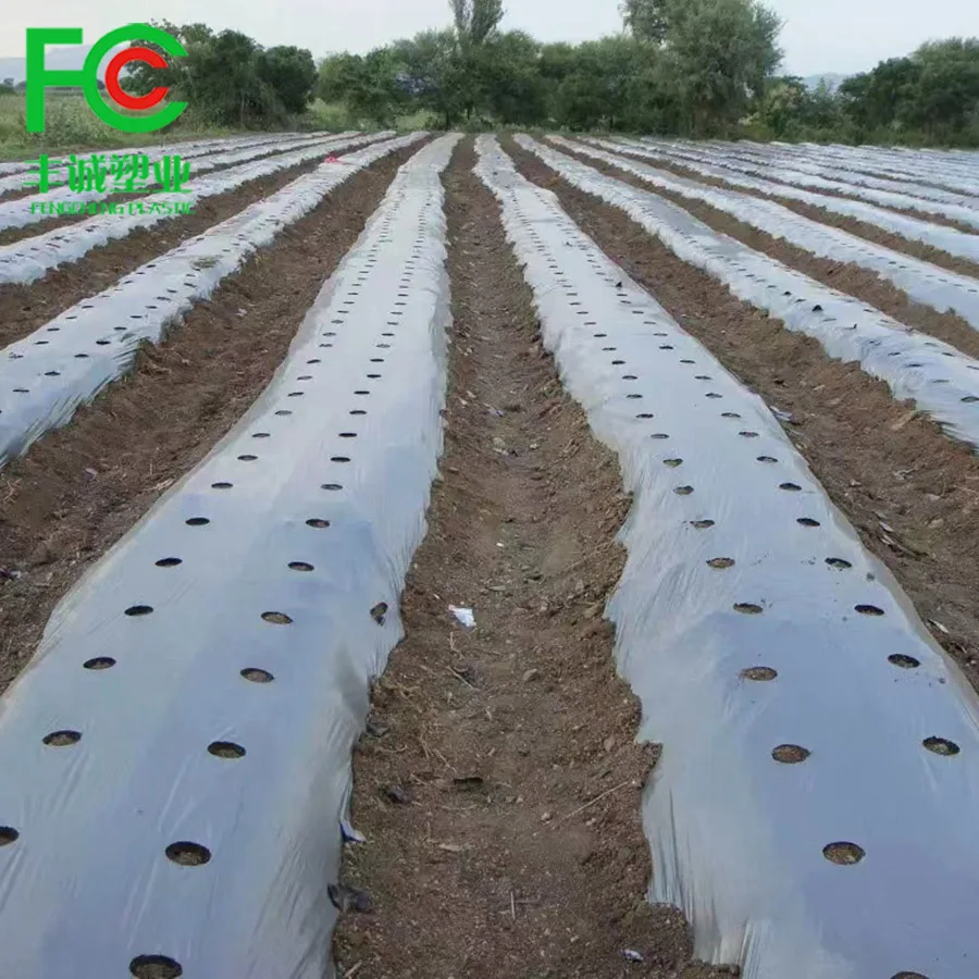 Agricultural Black Plastic Ground Cover Silver&Black Mulching Paper Greenhouse Mulch Film