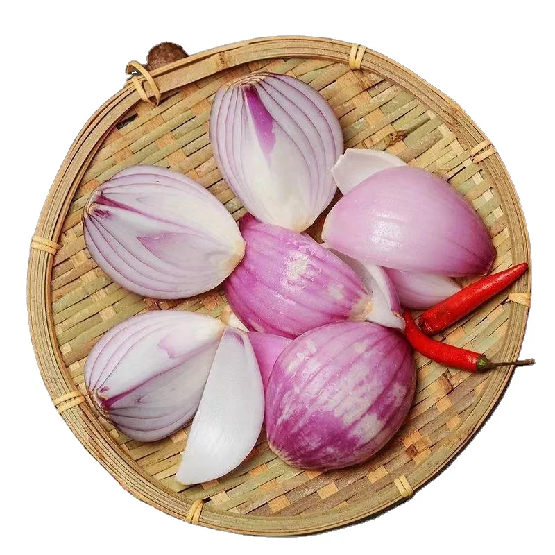 Premium Quality Fresh Vegetables Small Onion Suppliers /exporters in China for Reasonable Pricing from India Round Cooking 8 Cm