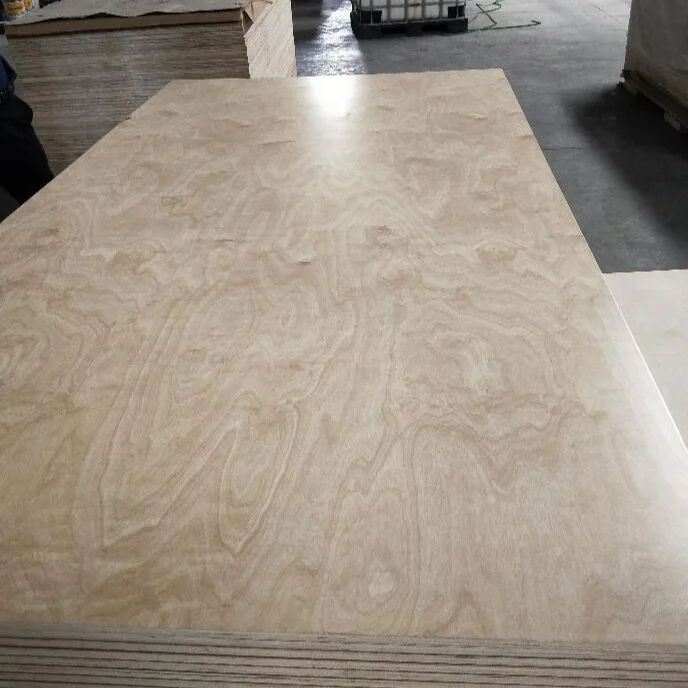 UV coated birch plywood for cabinet