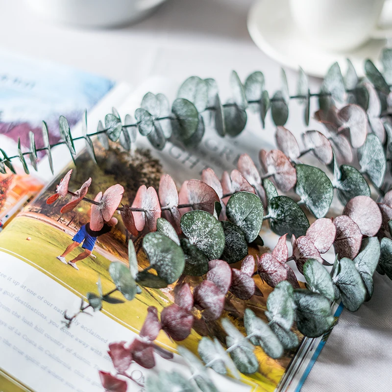 Заводская поставка, настоящие консервированные цветы, листья эвкалипта, стебли, листья яблони натуральные