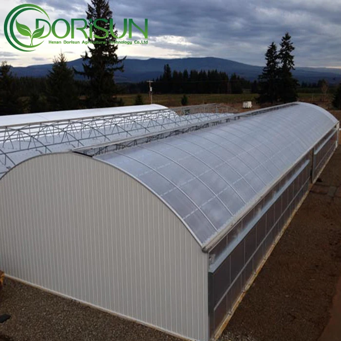 Panic Buying hydroponic system light deprivation greenhouse plastic film blackout green house