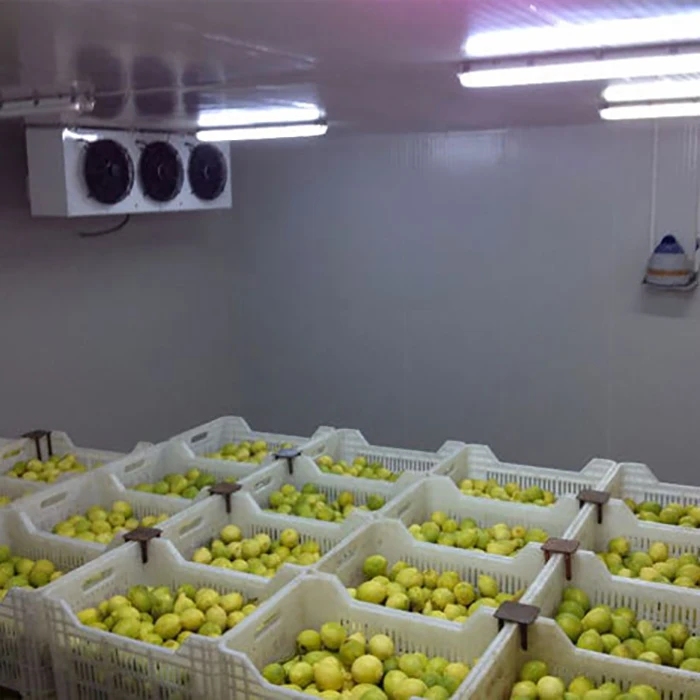 ISO Good Price Low Temperature Cold Room Fridge Walk in  Freezer for Banana Mango or Other Fruit