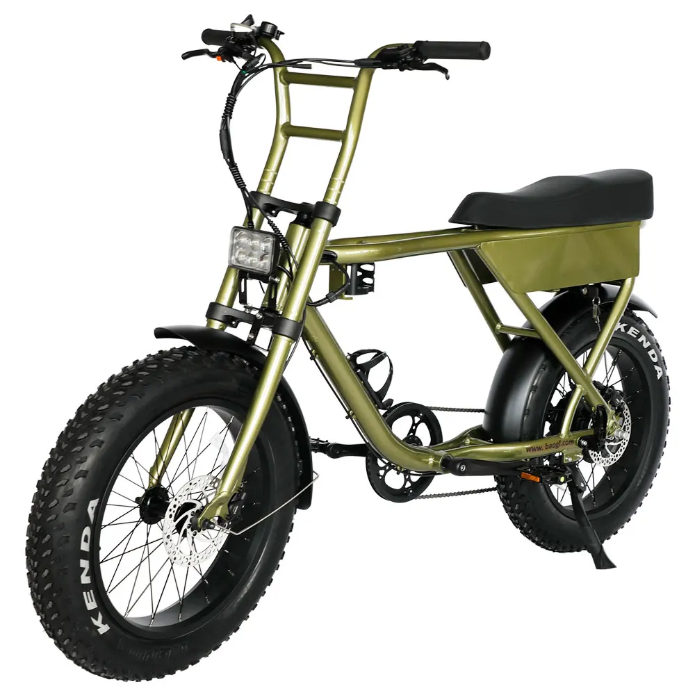 EU Warehouse 20 inch 48V250W motor 7speed long saddle fat tire all terrain vehicle electric bike