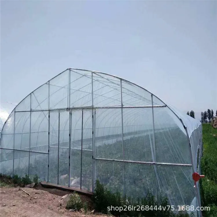 Agriculture Tomato Greenhouse Frames Plastic Film Single Span Tunnel Greenhouses for plant