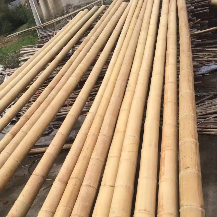 Custom Size Decoration Large Bamboo Poles Bulk Long Natural Straighten Bamboo