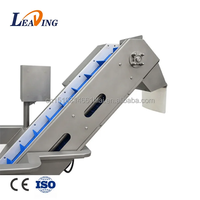 Automatic Ozone Banana Cleaner Equipment Fruit and Vegetable Washing Machine