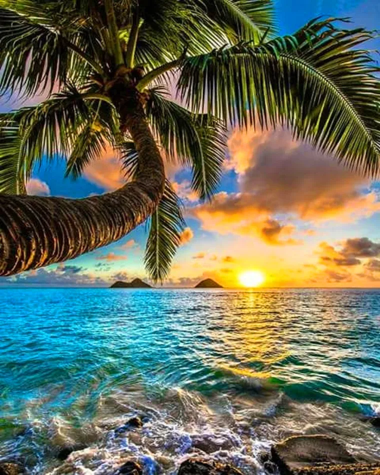 Custom Frameless Abstract oil painting by number Modern oil paintings art  room decoration handmade canvas oil painting