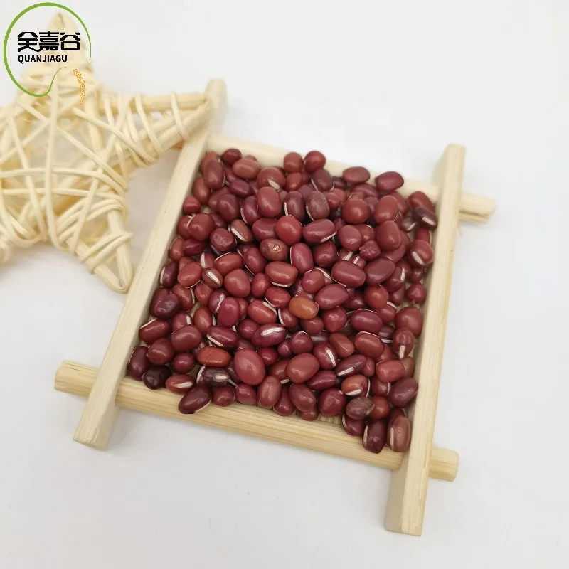  Красная каучуковая фасоль красного цвета экспортного класса маленькие красные адзуки фасоли Длинная
