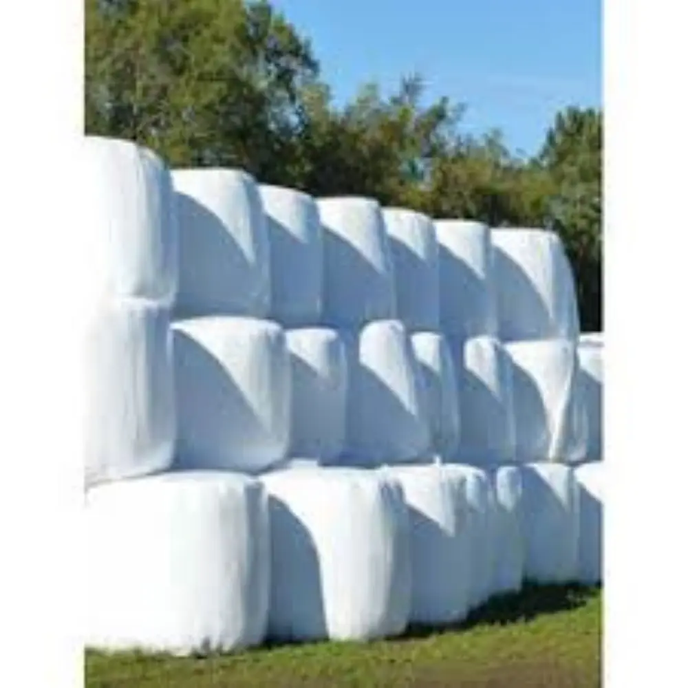 Fresh Corn Silage With Premium Quality Packaging For Durable Storage / Animal Feeding Corn Silage