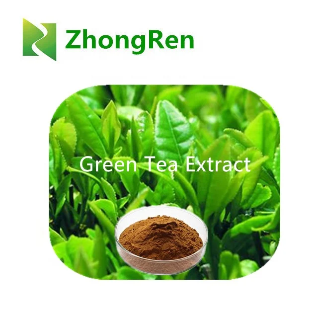 GMP Manufacture Halal Approved green tea extract 5%-20% Theanine